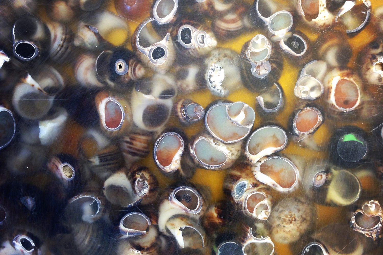 resin, metal, pigments, seashells, ash, marble balls, LED light | Diameter: 110 cm | Photo: Jussi Tiainen